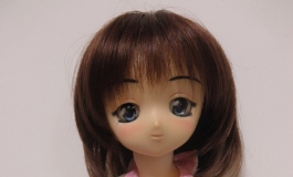 アネックス工房ｂｙコウガ Author アネックス コウガ（012...