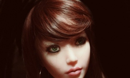 The Doll Album Dr Dollinger（006）【转载】