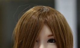 The Doll Album mew5151515（001）【转载】