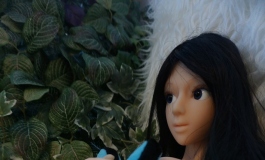The Doll Album PlushLion（001）【转载】