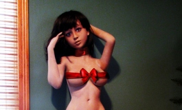 The Doll Album Broven（004）【转载】