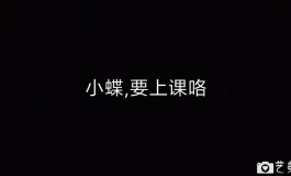 小蝶的防狼手册