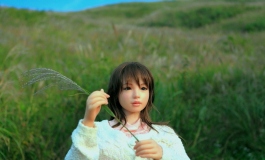 DOLL ミーたんとケロロの日記（045）【转载】