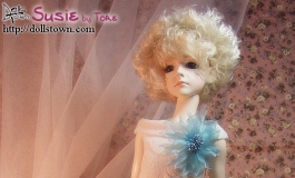 The Doll Album MEHall（001）【转载】