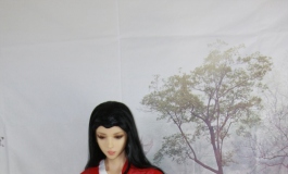 锦.衣.卫小柔