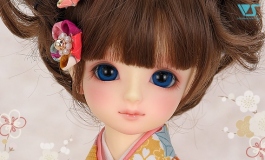 VOLKS February New Outfit Collection!!!