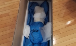 新年发个新来的蓓儿开箱图给坛内各位兄弟姐妺拜年啦