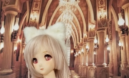 DD ~隨意拍~