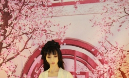 小柔的玄甲——武穆之后
