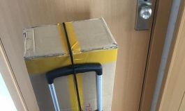 【纪念我折了腿的芸惜】梦の终点눈_눈