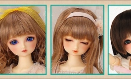 Volks March 31st 2018(JPT) Home Time Dolpa Kyoto 15 After Event
