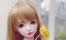 校园里的花好一晚上都开了