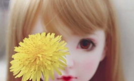 校园里的花好一晚上都开了