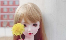 校园里的花好一晚上都开了