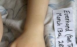The Doll Album everhard（007）【转载】