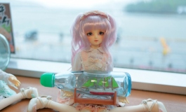 DOLL ミーたんとケロロの日記（048）【转载】