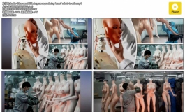Inside China s ex doll factory ma ss producing ‘smart’ robots to solve