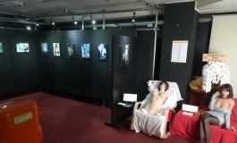 人形美の魅力　～Silicone Fairy～ Author：SAKITAN（019）【授权...