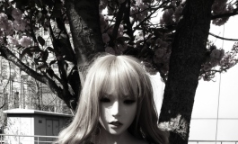 EXDOLL——情趣