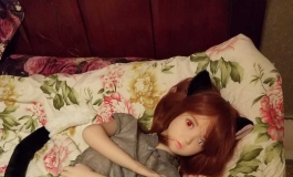 猫小蓓——蒲公英