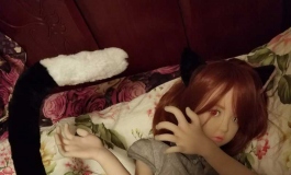 猫小蓓——蒲公英