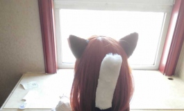 猫小蓓——蒲公英其二