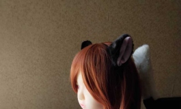 猫小蓓——蒲公英其二