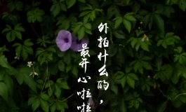 【西野100CM】公园外拍，比室内自然好多~