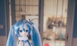 龙小波的初音妹妹