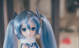 龙小波的初音妹妹
