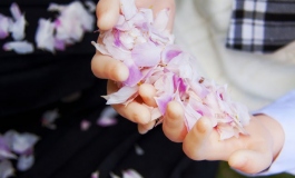 婠婠~草地的小清新