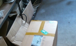 我家蔷蔷登场啦