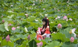 荷花仙子