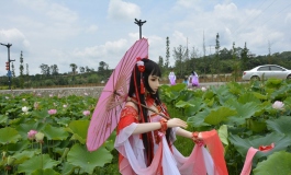 荷花仙子