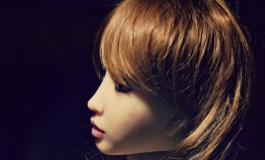 The Doll Album DrDollinger（001）【转载】