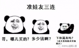 EXDOLL直男娃友观察报告