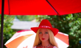 The Doll Album Mr_Fix_it（021）【转载】