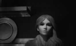 The Doll Album SeattleSlew（001）【转载】