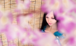 紫藤花下丽人来
