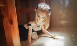 dd女仆小弥