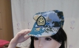 我家的女警卫员