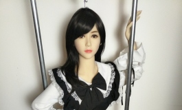 家中的小女仆，金三156+85