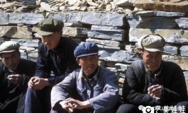 为什么老实人总被欺负？背后原因你知道吗？