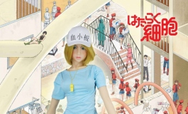 为了身体的健康，努力工作吧，细胞……