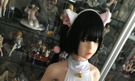 白猫一只✧(≖ ◡ ≖✿