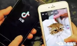 再见，抖音！guojia正式发声！