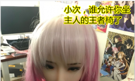 #首届摄影大赛#【自由组】吾家的使魔（次元剑）小次