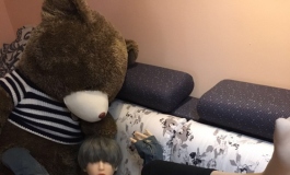 #首届摄影大赛#【自由组】凯拉的闲适生活