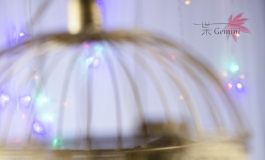 #首届摄影大赛#【自由组】月光女神：笼