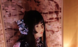 #首届摄影大赛#【自由组】紫阳花の物语